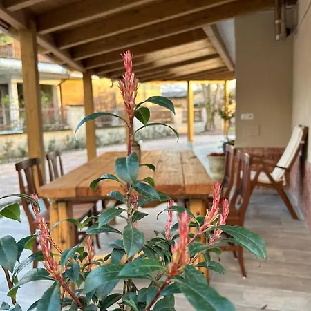 Semesterbostad Domus Corinnae *