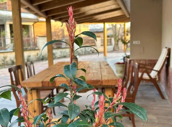 Vakantiehuis Domus Corinnae *